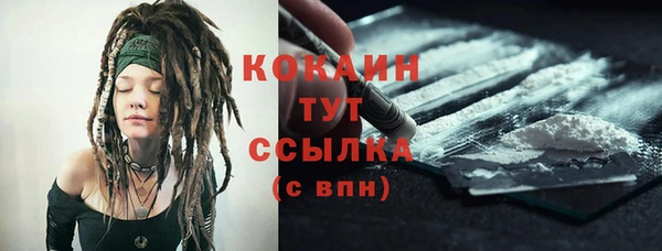трава Медвежьегорск