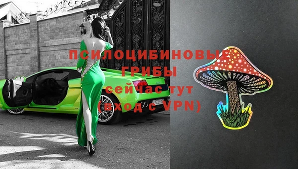 СК Мегион