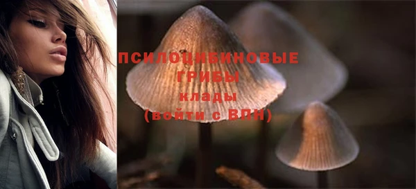 трава Медвежьегорск