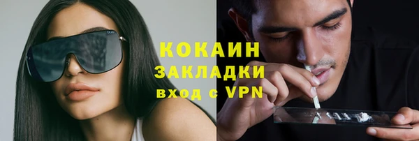 трава Медвежьегорск