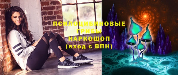 СК Мегион