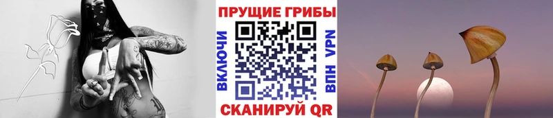 Псилоцибиновые грибы мухоморы  купить наркотики сайты  Черепаново 